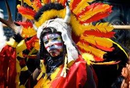 Mardi Gras Indians